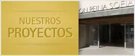 Nuestros proyectos