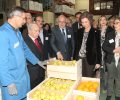 Su Majestad la Reina Doña Sofía observa el trabajo realizado por los voluntarios en el Banco de Alimentos de Valladolid