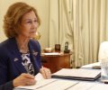 Su Majestad la Reina Doña Sofía durante la videoconferencia con la organización AGFUND