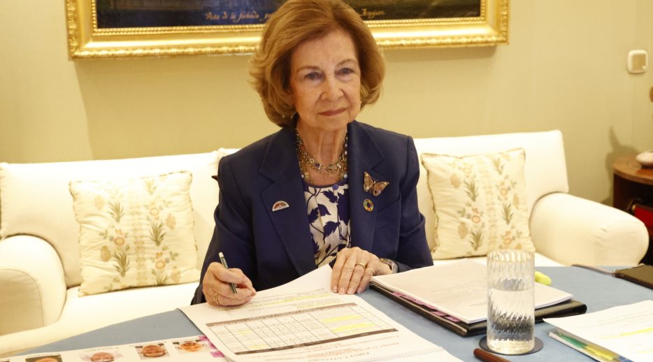 Su Majestad la Reina Doña Sofía durante la celebración de la reunión vía telemática