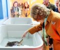 Su Majestad la Reina Doña Sofía junto a las tortugas que van a ser devueltas al mar