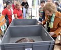 Su Majestad la Reina Doña Sofía junto a las tortugas que van a ser devueltas al mar
