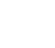 Logo Fundación Palma Aquarium, abre nueva ventana