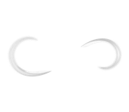 Fundacion Parques Reunidos, abre nueva ventana