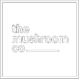 Logo Mushroom, abre nueva ventana